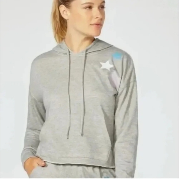 Wildfox Starlight Cropped Hoodie Sweatshirt in Heather Grey - Picture 3 of 10